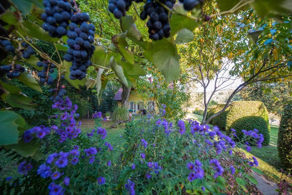 格莱斯多夫Winemakers Escape别墅 外观 照片